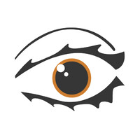 Full Vision Studio logo - Similar company to Liswood & Tache I Brand Builders