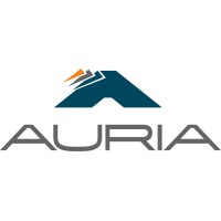 Auria logo - Similar company to Iac Group