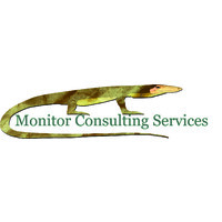 Monitor Consulting Services logo - Similar company to Onsen Fuji