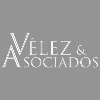 Vélez Asociados en Capital Humano, S.C. logo - Similar company to Cáñamo Industrial Ecuador