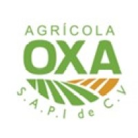 Reclutamiento Agrícola Oxa logo - Similar company to Universidad De Morelia