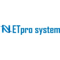 Netpro system logo - Similar company to Netpro