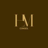 MH Conseil logo - Similar company to Mh Dev Solutions