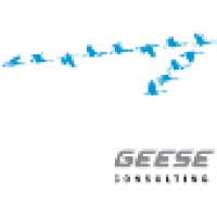 Geese Consulting