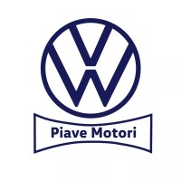 Piave Motori S.p.A. logo - Similar company to Barbieri Srl