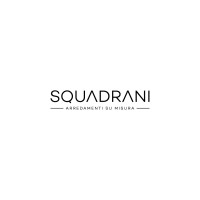 Squadrani logo - Similar company to Ciscoop