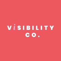 Visibility Co logo - Similar company to Bskt