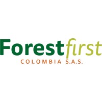 Forest First Colombia logo - Similar company to Redd+ Matavén