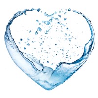 FLS logo - Similar company to Aqualogic Ltd