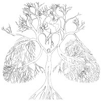Palm Oil Reforestation Not Deforestation logo - Similar company to Federation Against Biomass Power Plants & Deforestation