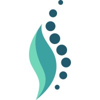 Chiropractor Experts logo - Similar company to Chiropractor