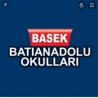 Batı Anadolu Okulları logo - Similar company to Tiglon