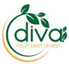 Diva Plastic logo - Similar company to Diva Plastiques