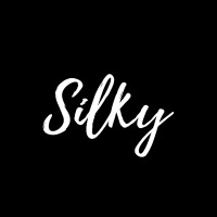 Silky Oficial logo - Similar company to Bluexprt