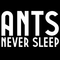 Ants Never Sleep logo - Similar company to Troxo Doo