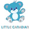 Little Canadian logo - Similar company to Meridian Security Solutions Inc
