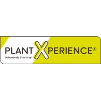 PlantXperience logo - Similar company to Schoneveld Breeding