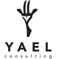 Yael Consulting logo - Similar company to Barvatech Ltd
