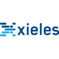 Xieles Support logo - Similar company to Techspine Systems Private Limited