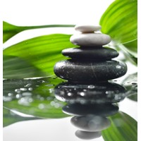 Ztherapy-Reflexologie