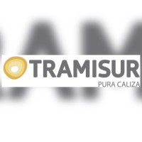 TRATAMIENTO DE MINERALES DEL SUR S.L. logo - Similar company to Energia Y Minerales Del Sur Srl (Enermin)