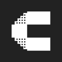 Coding Wisely logo - Similar company to Workbranded
