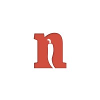 netspice GmbH & Co K.G. logo - Similar company to Evolute Cx Gmbh
