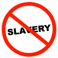 The Slave-Free Community Project logo - Similar company to Kids Home Safe