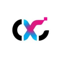0x Consulting Group PTE.LTD. logo - Similar company to 0X Consulting