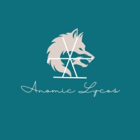 Anomic Lycos logo - Similar company to Erocon