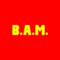 BAM! publishing. logo - Similar company to Pediment Publishing