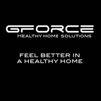 GForce Healthy Home Solutions logo - Similar company to G-Force Category Solutions