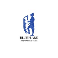 Blue Flare International logo - Similar company to Geofire