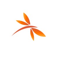 Dragonfly Collective Agency logo - Similar company to Lifting The Burden Initiative