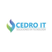CEDRO IT logo - Similar company to It Davicisco Technology