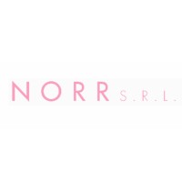 NORR S.R.L. logo - Similar company to Paris Texas