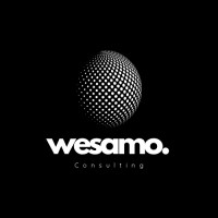 Wesamo Consulting logo - Similar company to Studio Giz