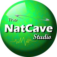 NatCave Studio logo - Similar company to My Studio Sessions