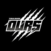 Ours de Toulouse logo - Similar company to Cf Experts