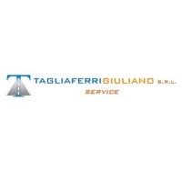 Tagliaferri Giuliano s.r.l logo - Similar company to Ftsystem