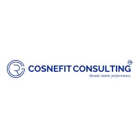 Cosnefit Consulting logo - Similar company to Wecoach Payroll