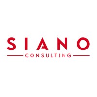 Siano Consulting logo - Similar company to Siano Mobile Silicon