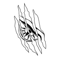 Trodia Racing Team logo - Similar company to Ieee Life Members Affinity Group