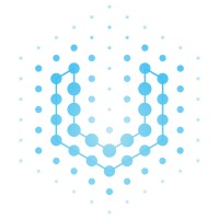 Vemity logo - Similar company to Learn Data Insights