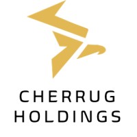 Cherrug Holdings LLC logo - Similar company to Fiture Studio