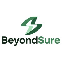 BeyondSure logo - Similar company to Ekover Solutions Llp