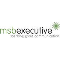 MSB Executive logo - Similar company to Cloudcor Inc.