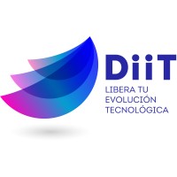 DiiT Consultores logo - Similar company to Diit