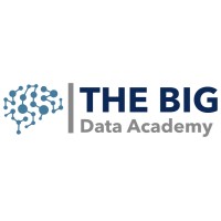 The Big Data Academy logo - Similar company to Big Data Consulting Vacatures