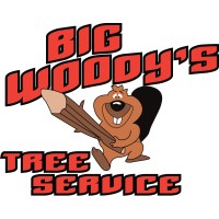 Big Woody's Tree Service, LLC